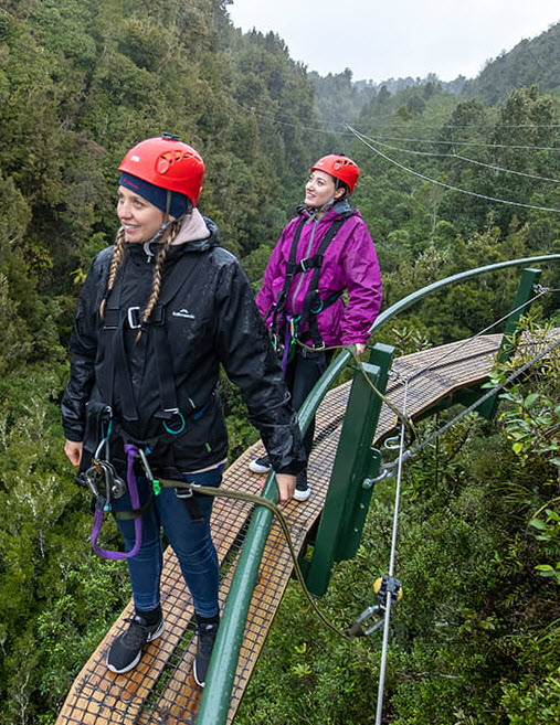 Canopy Tours