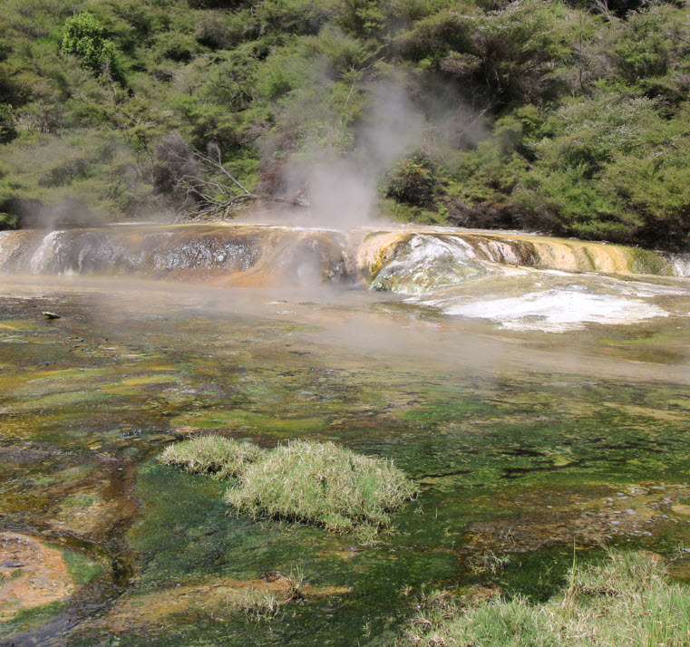 Waimangu Thermal Walk